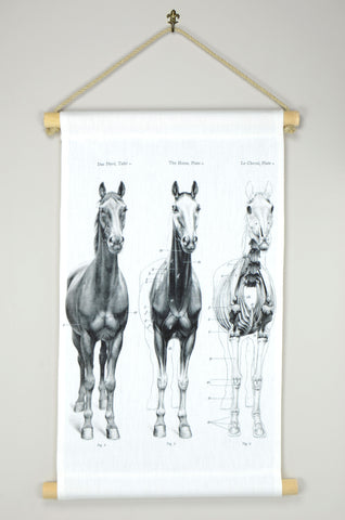 Vintage Rollkarte „Pferd“