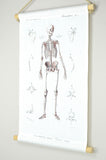 Vintage Rollkarte „Skelett“