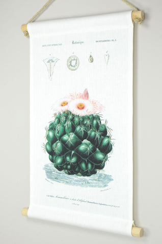 Vintage Rollkarte „Kaktus“